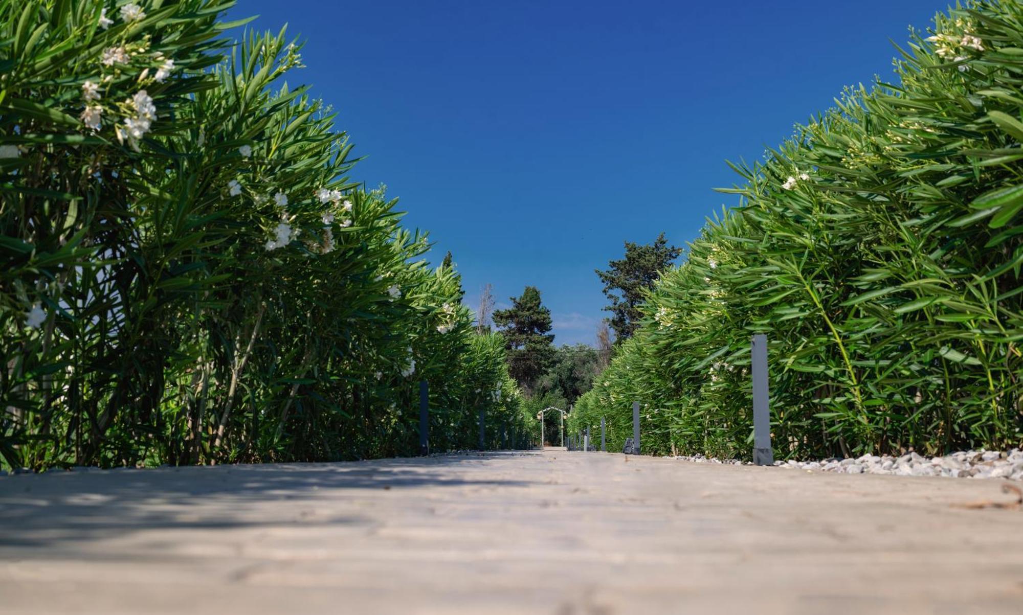 Theluxuryvillas Preveza Exteriér fotografie