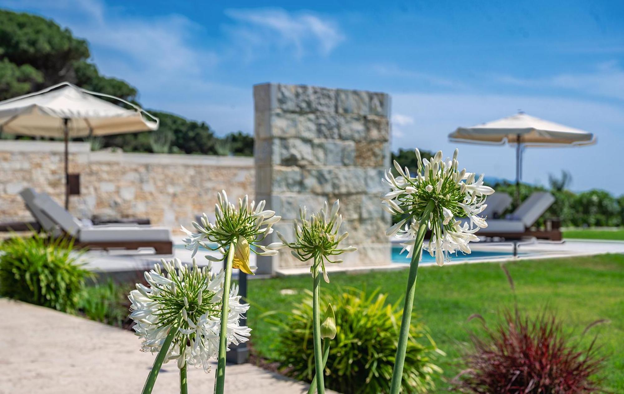 Theluxuryvillas Preveza Exteriér fotografie