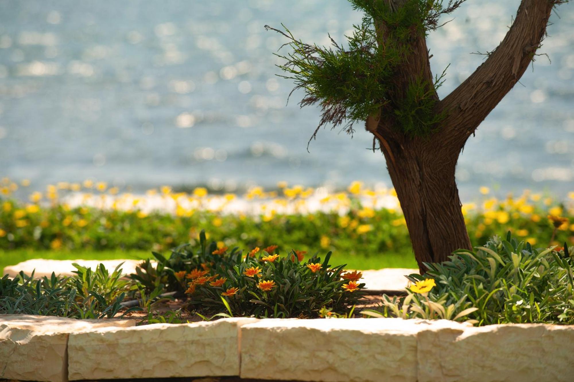 Theluxuryvillas Preveza Exteriér fotografie